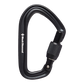 Black Diamond Hotforge Screwgate Carabiner