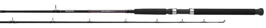 DAIWA Accudepth Trolling Combo [Oversized Item; Extra Shipping Charge*]