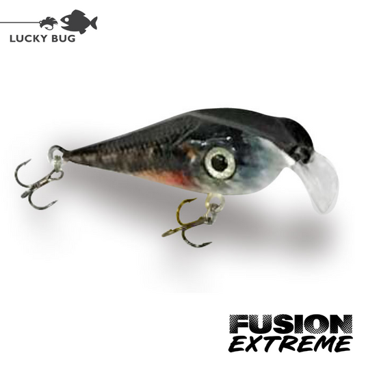 Lucky Bug Extreme