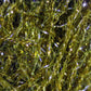 Hareline Micro UV Polar Chenille