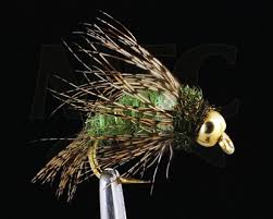 Load image into Gallery viewer, Anderson&#39;s Tungsten Bird Of Prey Nymph
