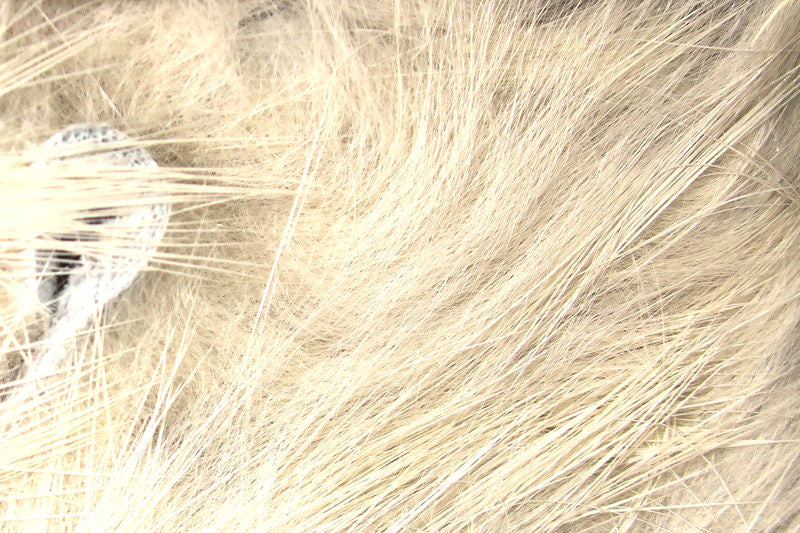 Load image into Gallery viewer, Hareline Crosscut Rabbit Strips
