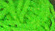 Load image into Gallery viewer, Hareline Diamond Braid
