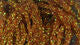 Load image into Gallery viewer, Hareline Diamond Braid
