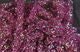 Load image into Gallery viewer, Hareline Diamond Braid

