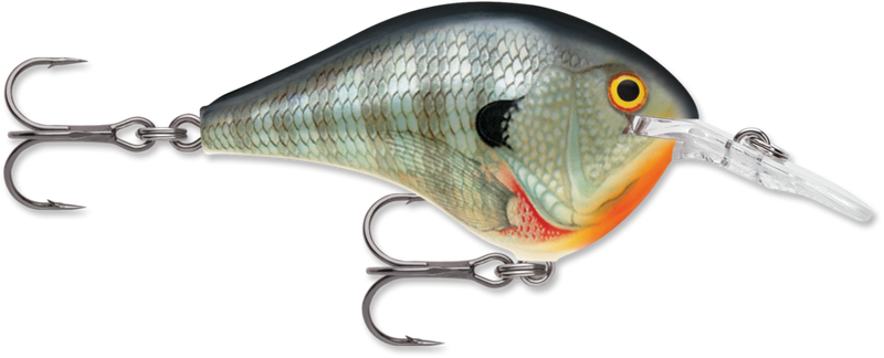 Load image into Gallery viewer, Rapala DT Series
