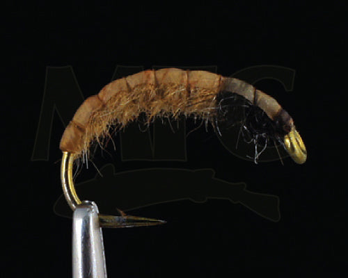 Korbay's Czech Nymph (C-N)