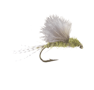 RS2 Dry Fly