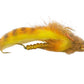 Wiese's Scleech Fly