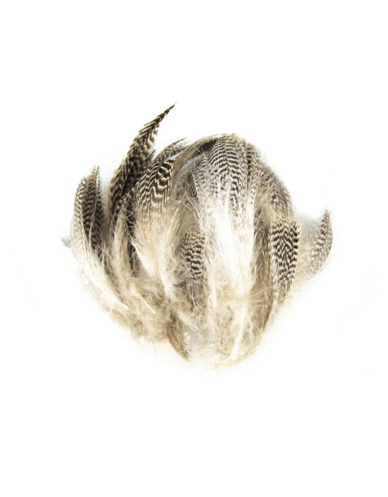 Load image into Gallery viewer, Shor Teal Duck Flank [Shipping in Canada Only]
