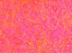 Load image into Gallery viewer, Hareline STS Trilobal Dub
