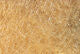 Load image into Gallery viewer, Hareline STS Trilobal Dub
