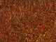 Load image into Gallery viewer, Hareline STS Trilobal Dub
