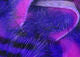 Load image into Gallery viewer, Hareline Magnum Tiger Barred Rabbit Strips
