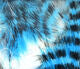 Load image into Gallery viewer, Hareline Magnum Tiger Barred Rabbit Strips
