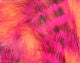 Load image into Gallery viewer, Hareline Magnum Tiger Barred Rabbit Strips
