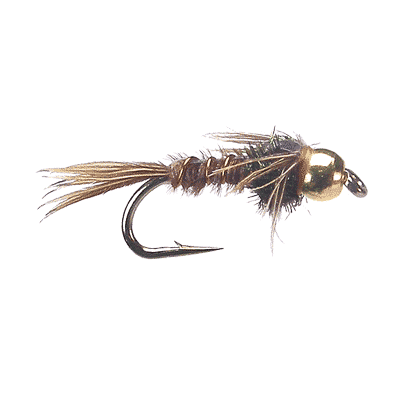 Tungsten Bead Head Flashback Pheasant Tail